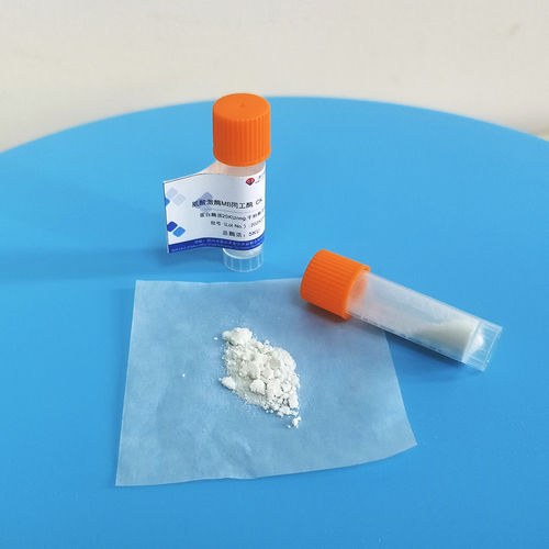 Latest company news about Scientific Protection Activity: Comprehensive Guide for Professional Processing of Creatine Kinase Freeze Dried Powder