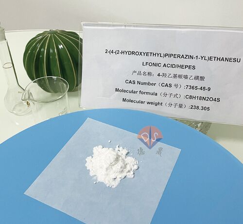 Latest company news about HEPES-buffer: de 'onzichtbare assistent' bij het opsporen van rabiësvirussen