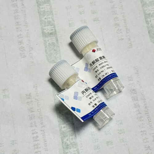 Latest company news about Activiteit van het beschermend enzym: ontgrendelen van een efficiënt biocatalysatorisch wachtwoord